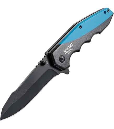 Amazon.co.jp: バックナイフ BUCK 110BKSLT フォールディングハンター